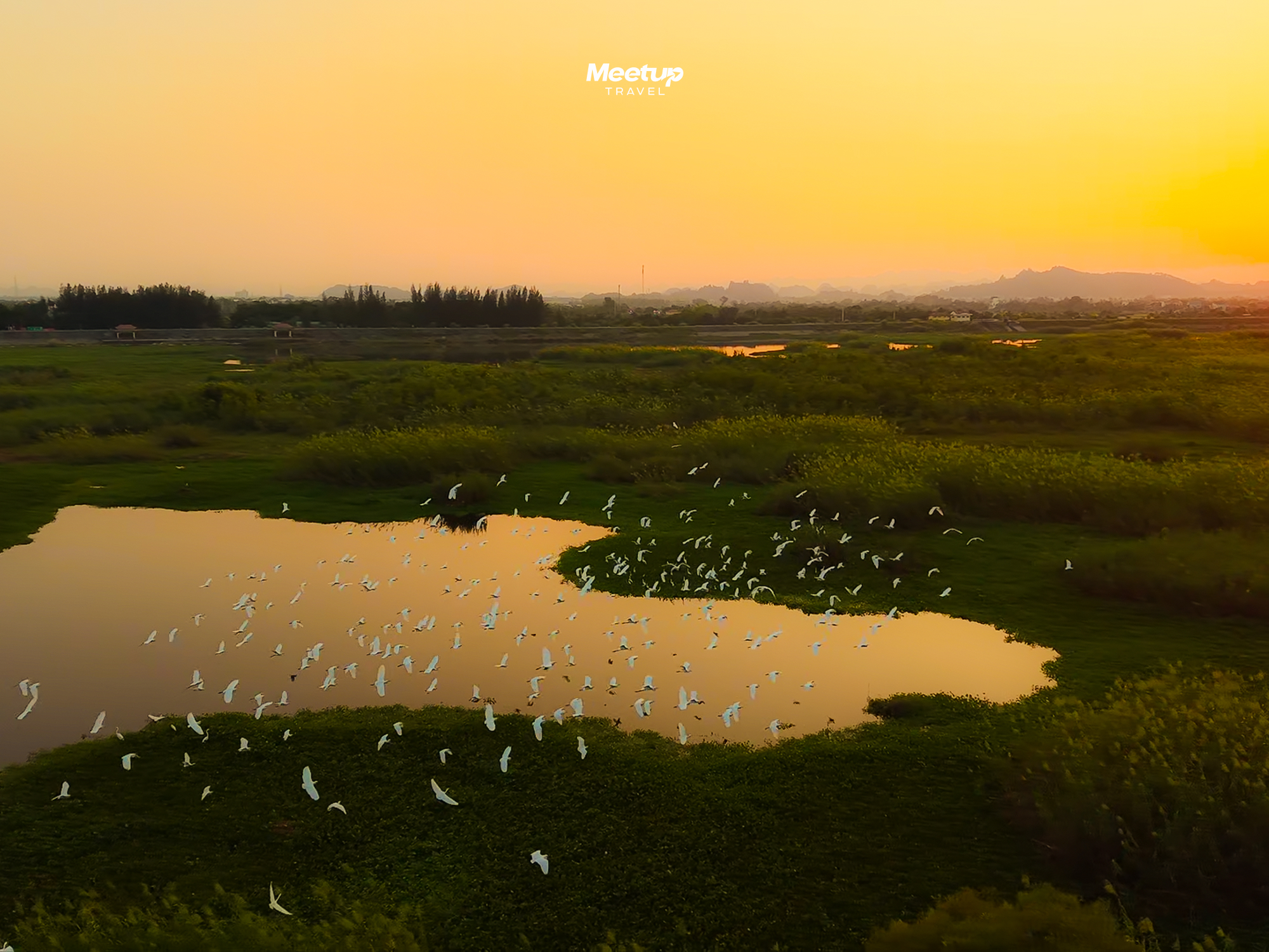 Van Long Wetland Nature Reserve, photo 7