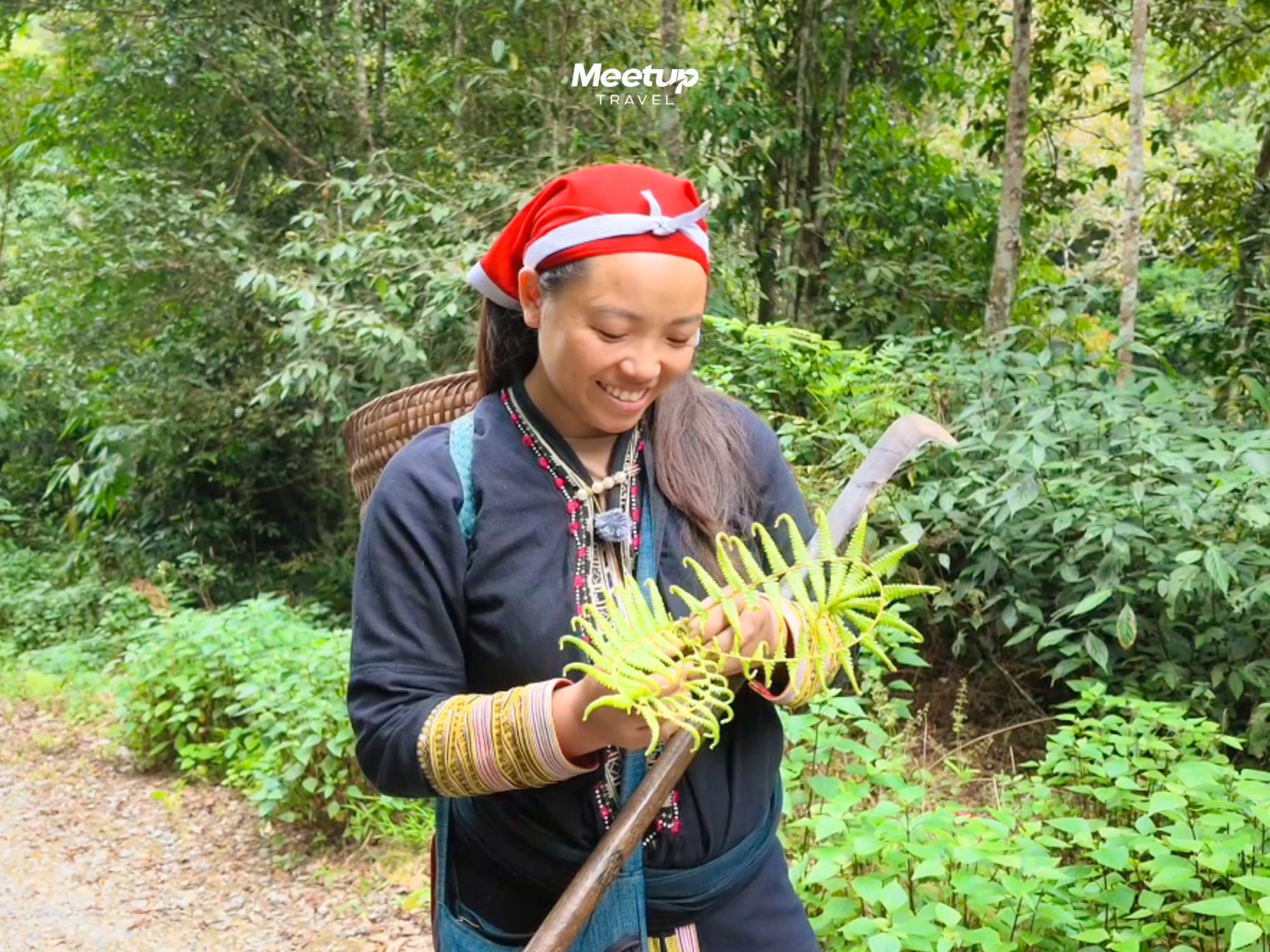 Picking medicinal herbs with a Red Dao villager in Ta Phin, photo 1