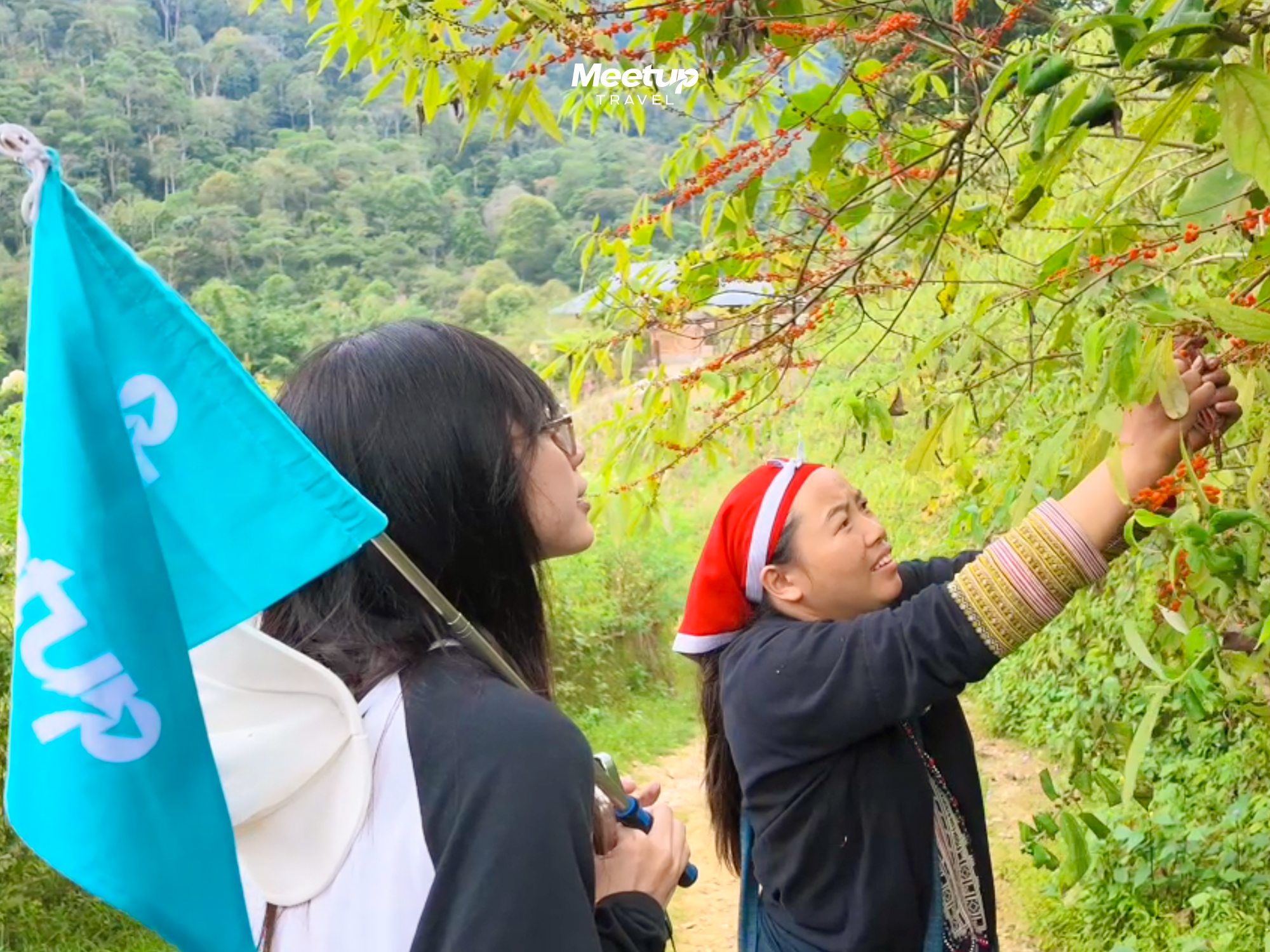 Picking medicinal herbs with a Red Dao villager in Ta Phin, photo 2