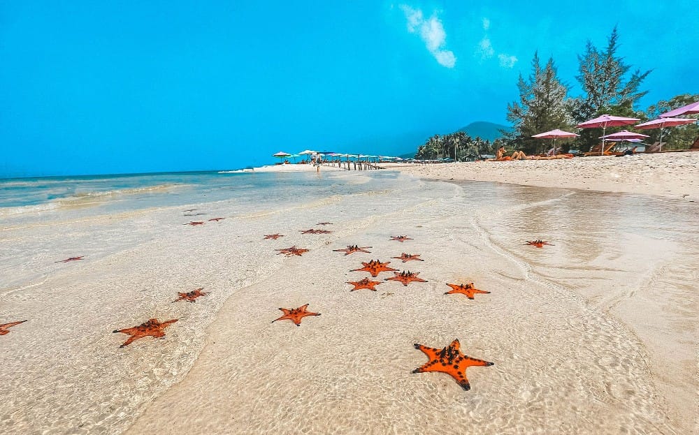 Sao Beach Phu Quoc: Access, Timing, and Sea Conditions