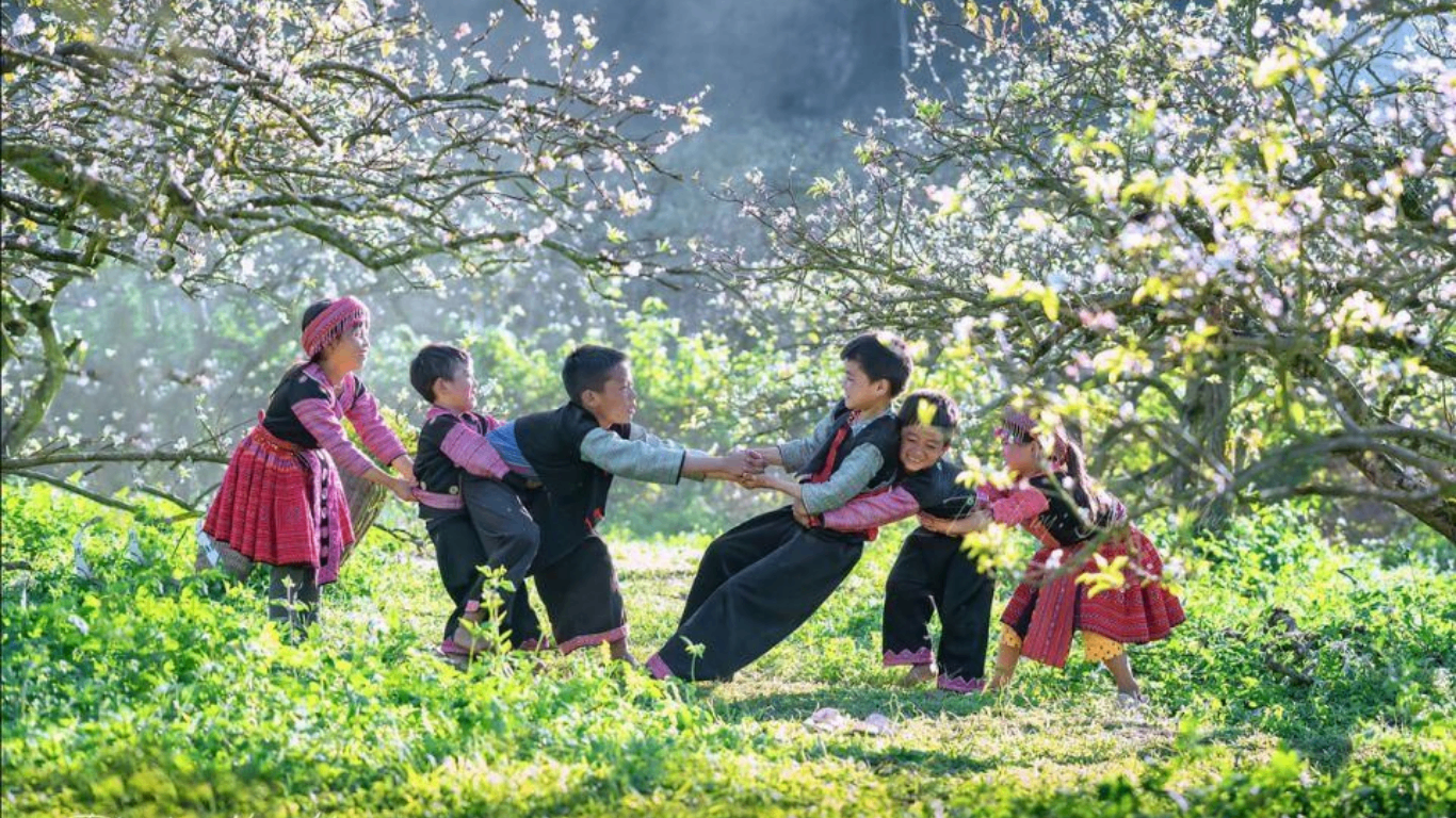 Hmong children in traditional embroidered clothing playing under peach blossom trees in Ha Giang