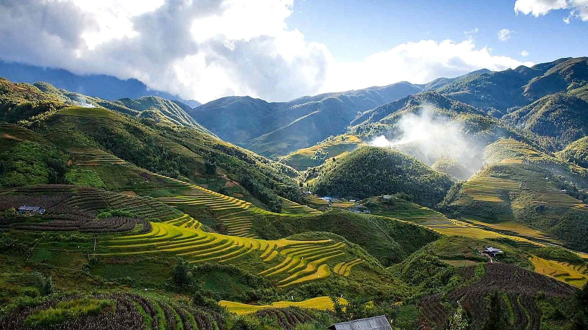 Lush green and golden terraced rice fields in Mu Cang Chai Vietnam