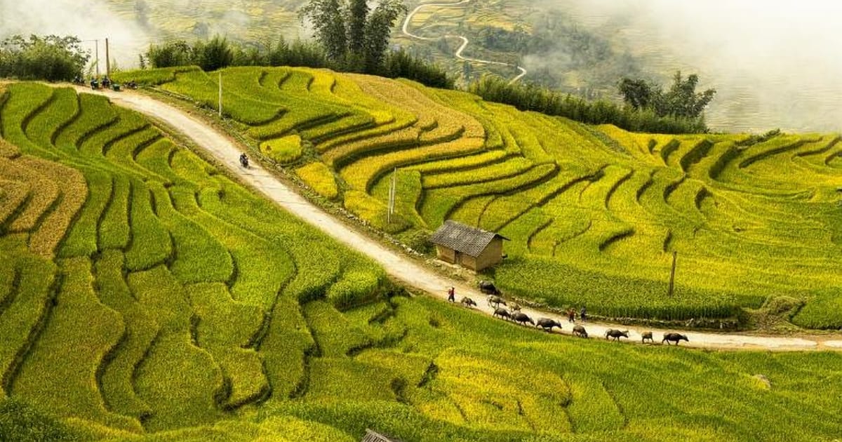 Best time to visit Vietnam: by region and month