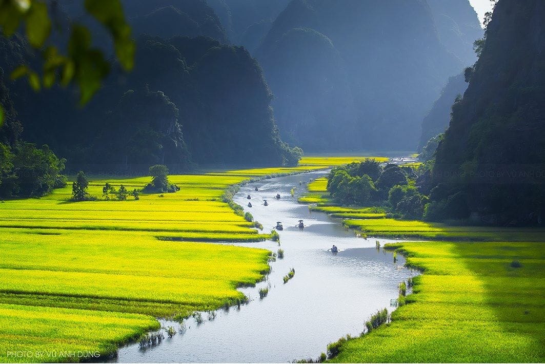 Green rice paddies and karst peaks seen from above at the Mua Cave hilltop viewpoint