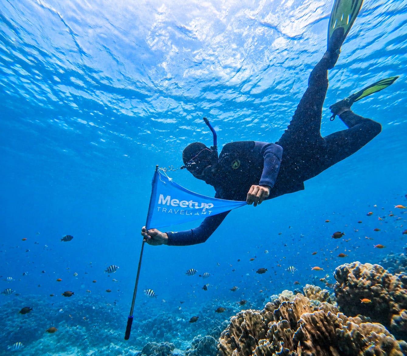 Phu Quoc snorkeling: reefs, islands, and dive sites