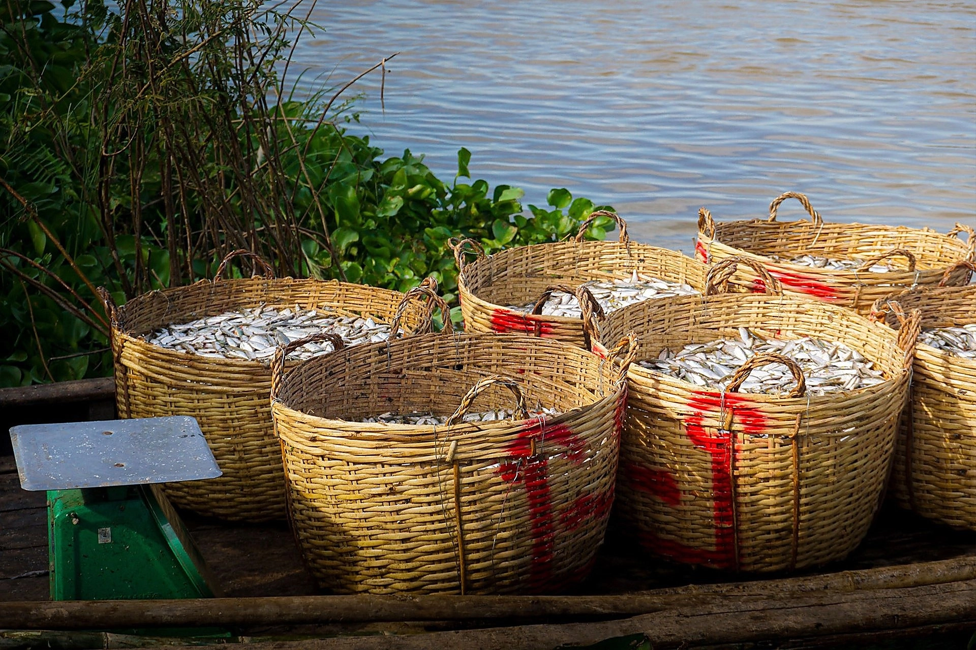 meetup-mekong-delta-20
