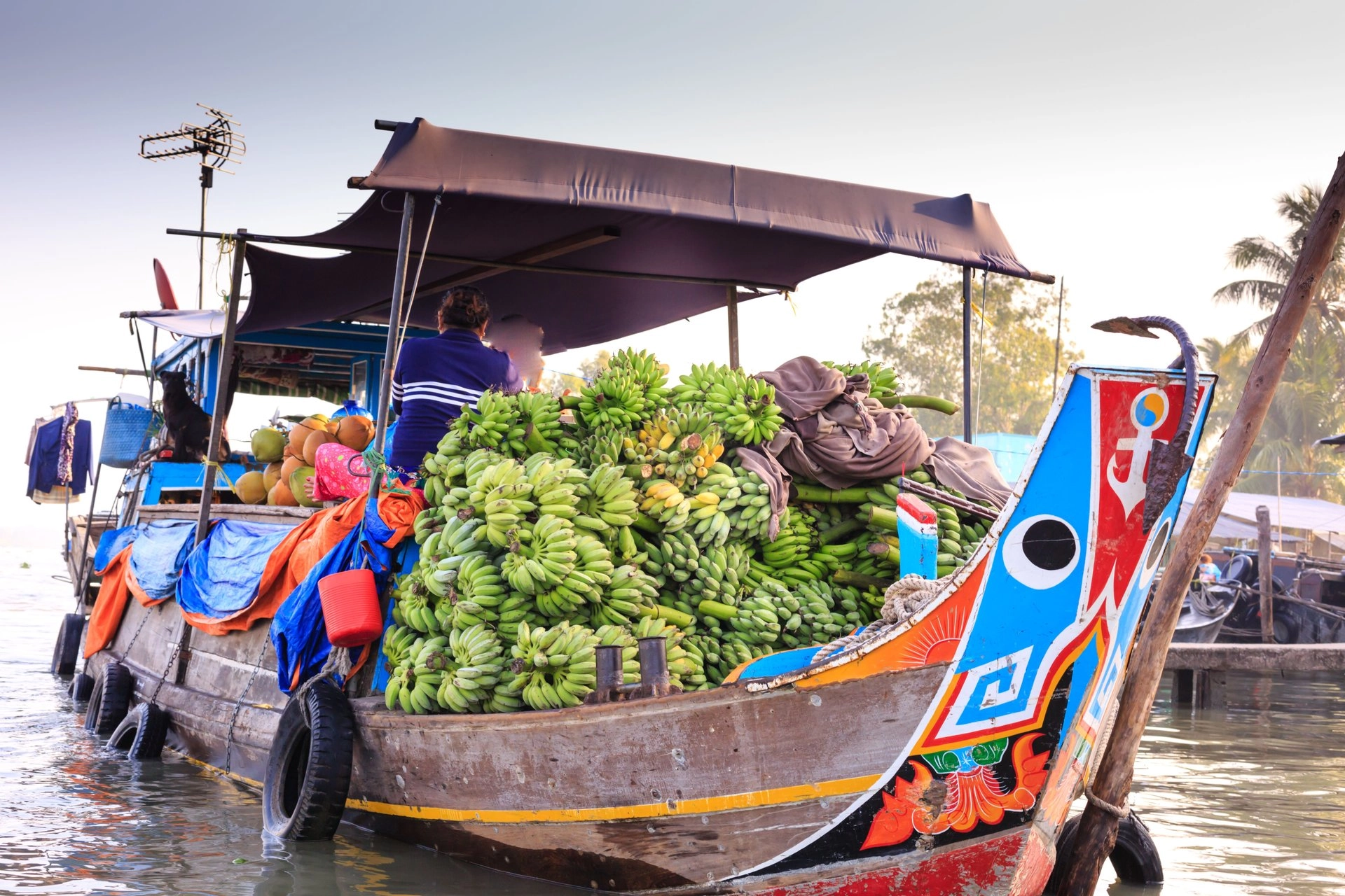 meetup-mekong-delta-06