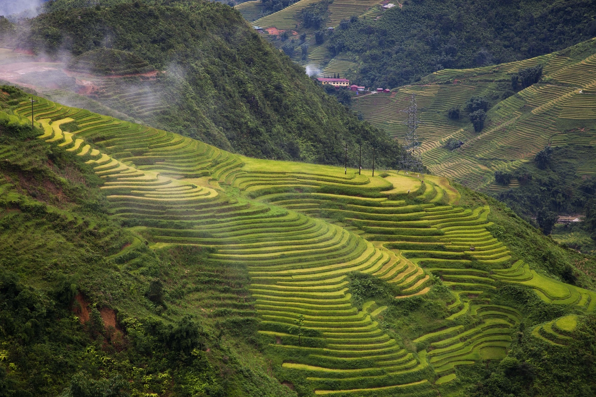 meetup-sapa-01