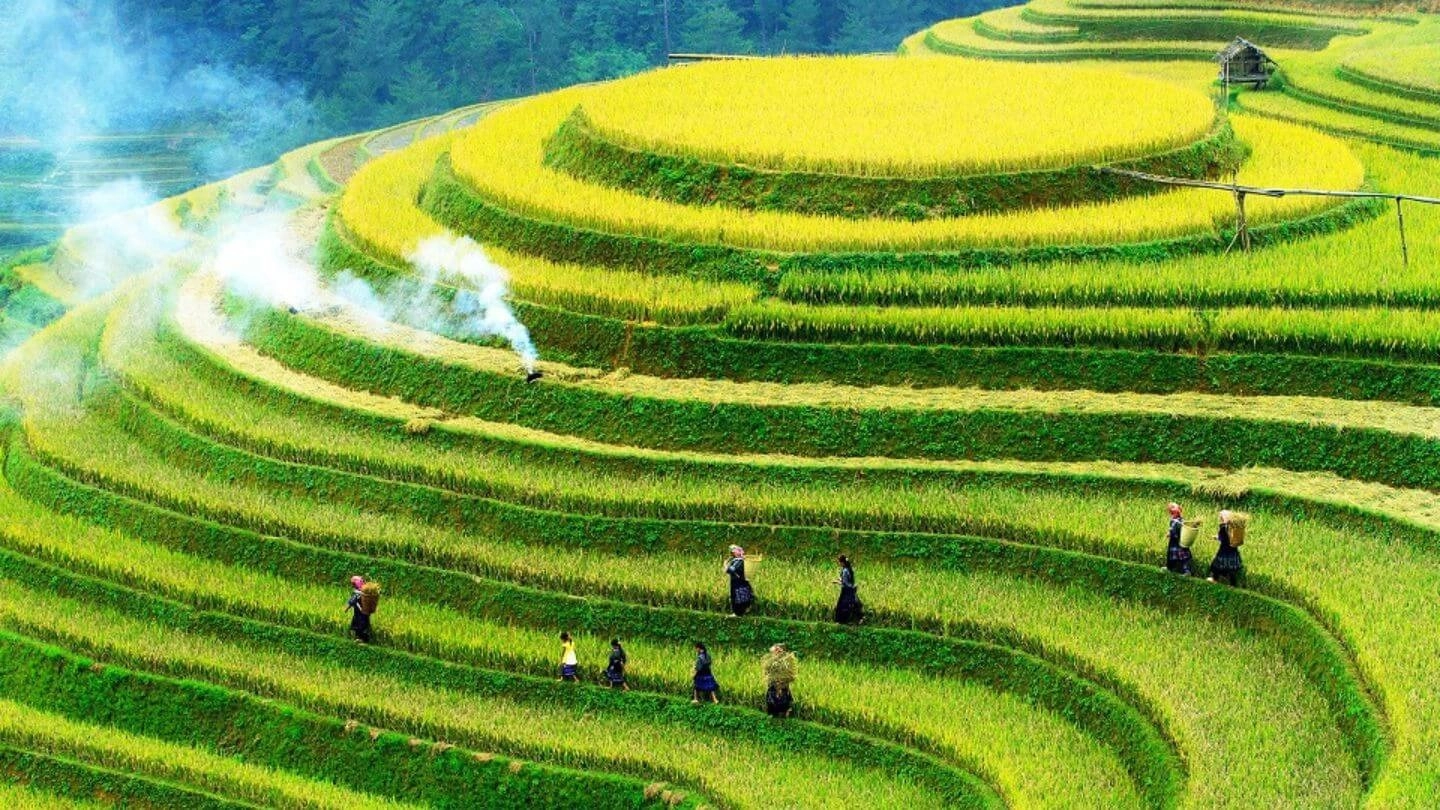 meetup-nam-cang-village-04