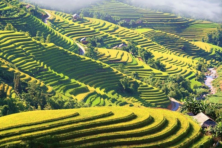 Northwest Terraces & Hill Tribes - 6 Days