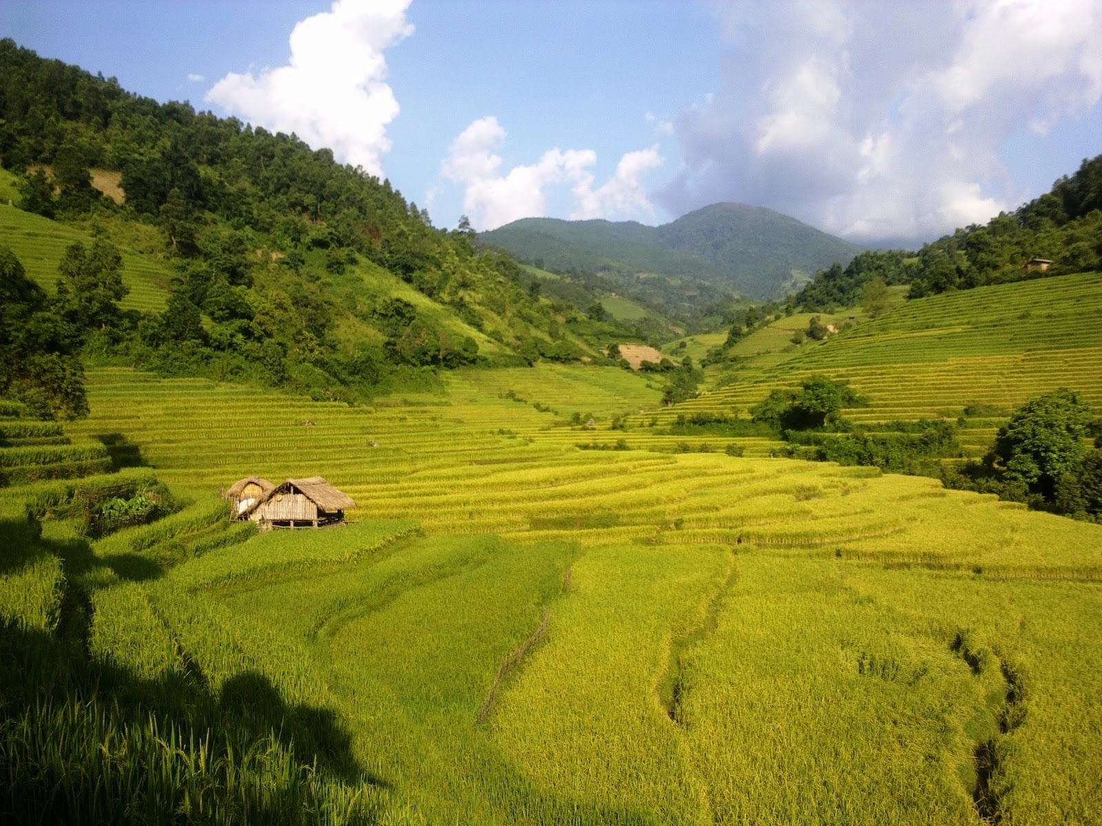 meetup-nam-cang-village-01