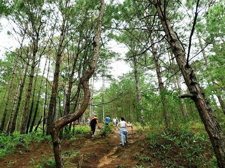meetup-da-lat-32