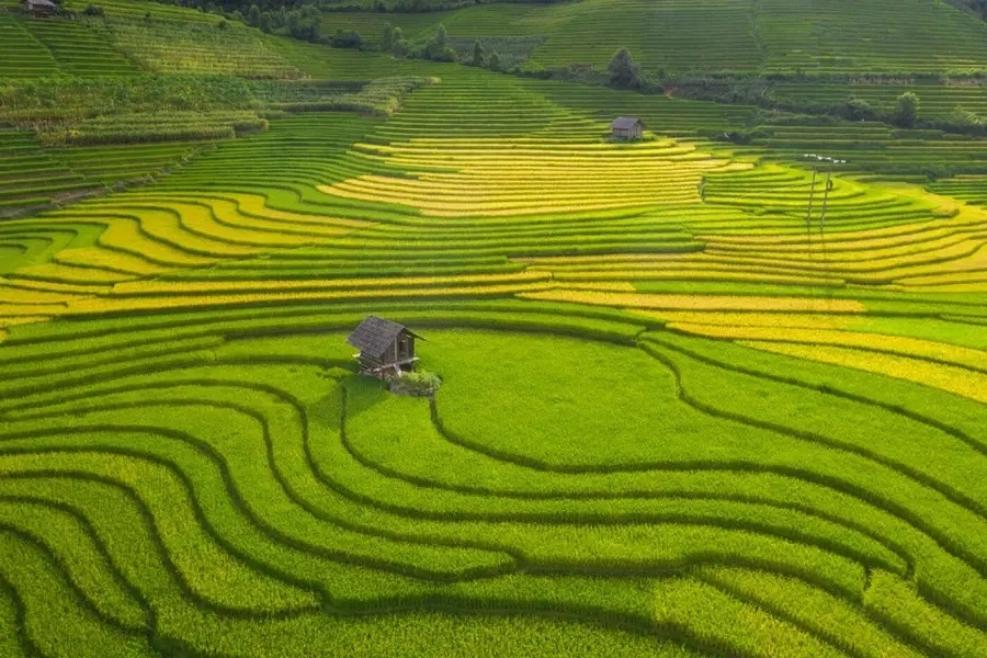 meetup-nam-cang-village-03