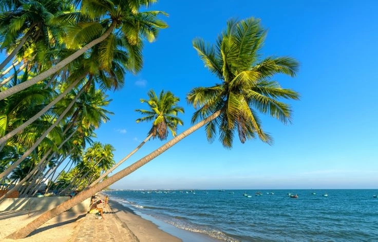 Palm trees leaning over a quiet beach on the coast south of Saigon