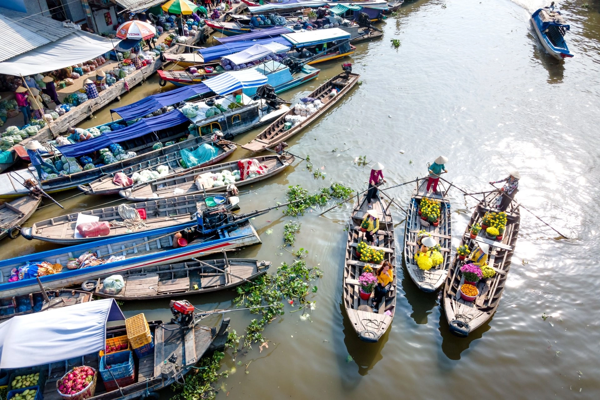 meetup-mekong-delta-10