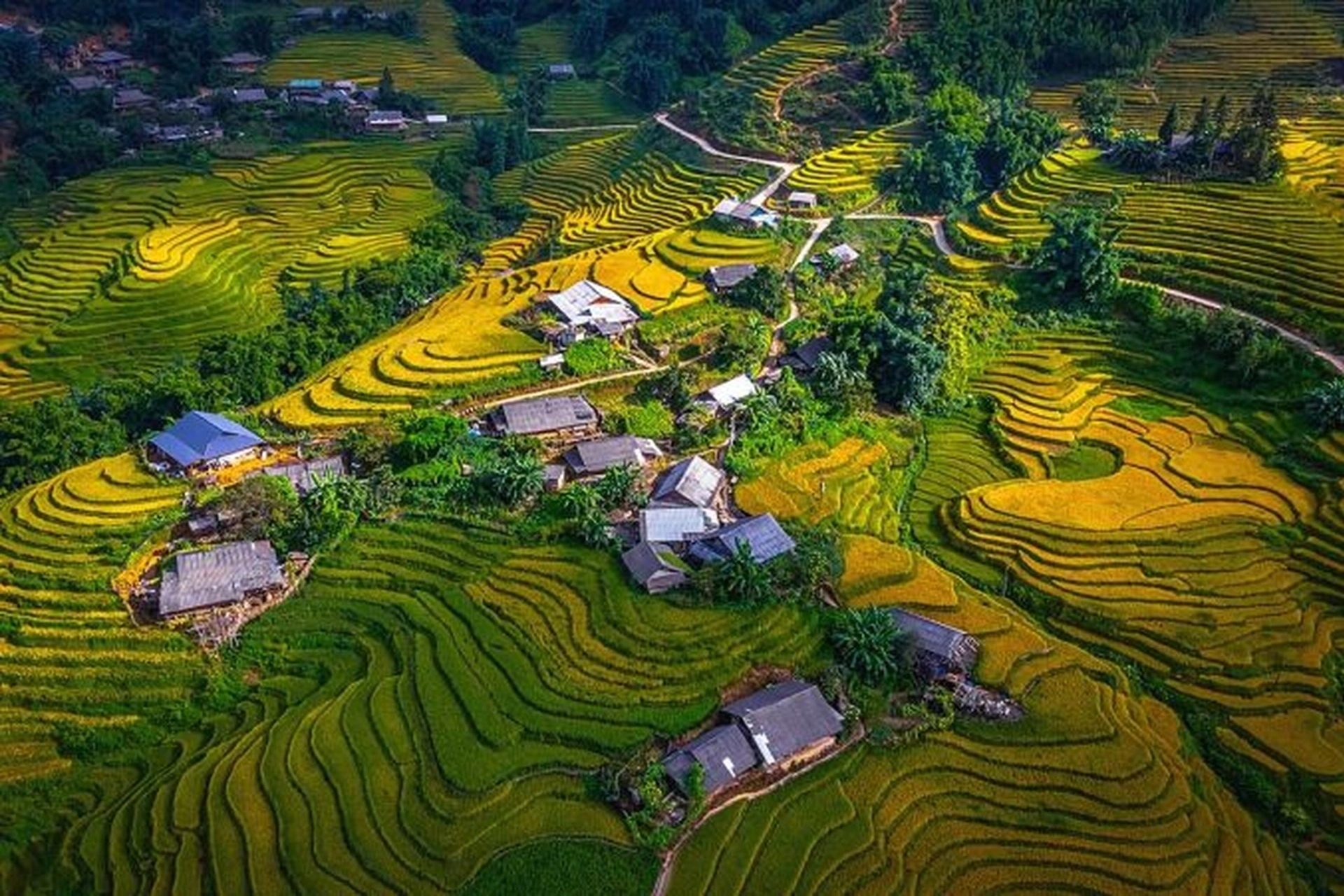 meetup-sapa-43