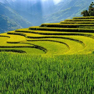 meetup-mu-cang-chai-38