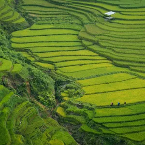meetup-sapa-51