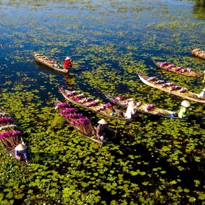 meetup-mekong-delta-04