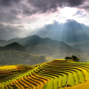 meetup-mu-cang-chai-39