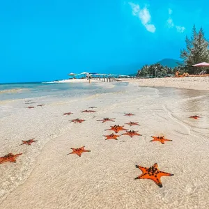 meetup-phu-quoc-37