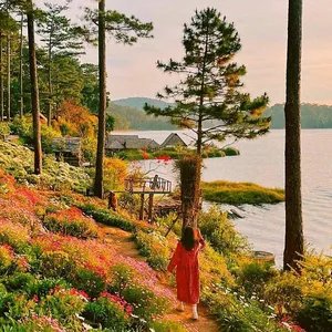 Da Lat Highlights Full Day Tour