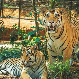 meetup-phu-quoc-safari-02
