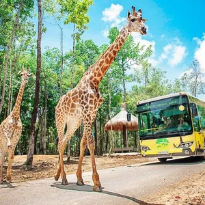 meetup-phu-quoc-safari-03