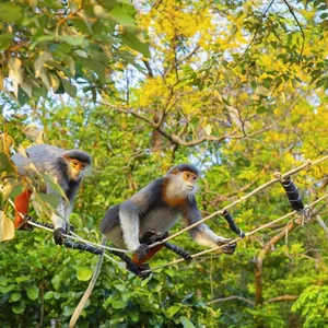 Marble Mountains, Monkey Mountain & Am Phu Cave Sunset Tour