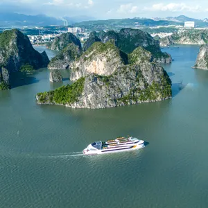 Ha Long Bay Dolphin Cruise 1 Day Tour